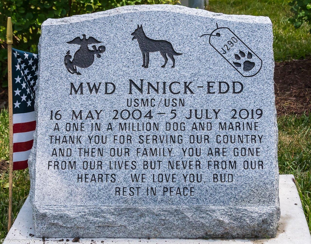 AMVETS MWDM Burial Nick & Ella fb 7-11-20 (232 of 233).jpg